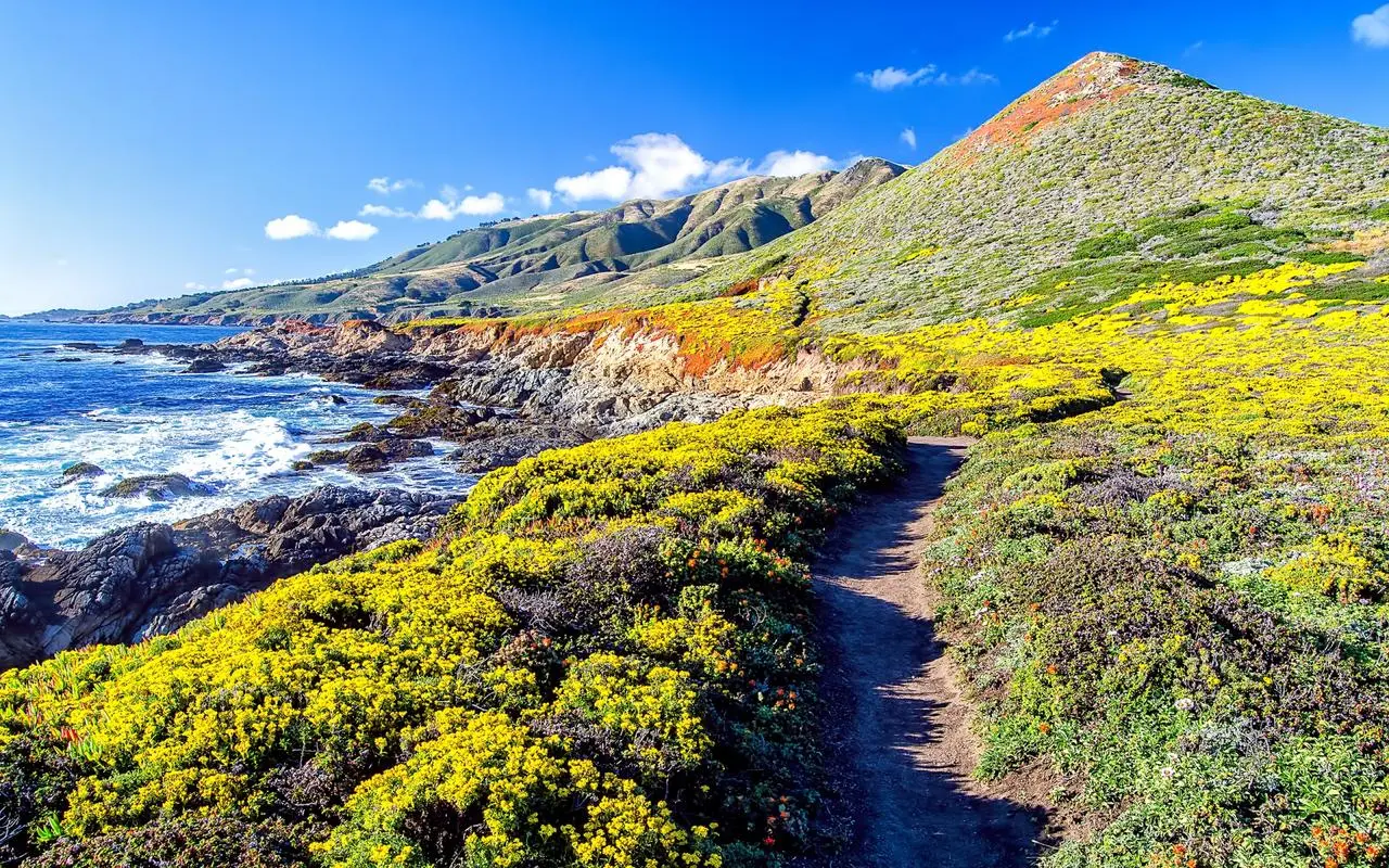 精密精密